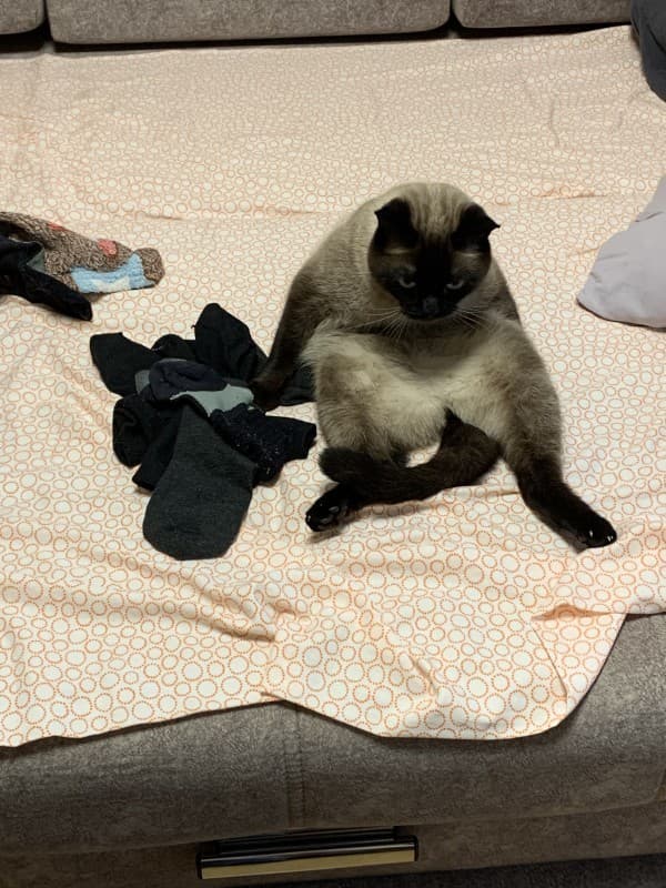 Максимильян