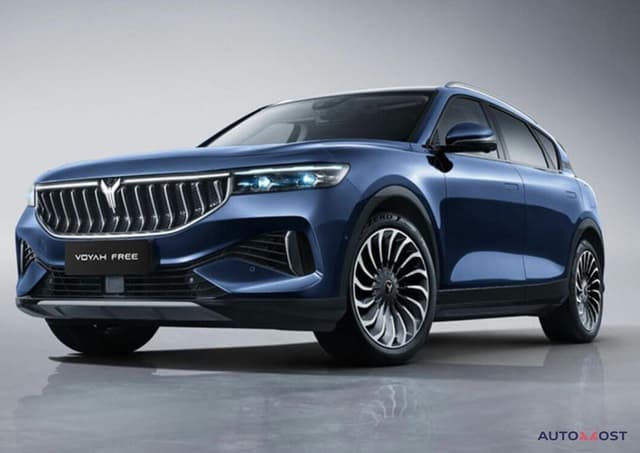 Русификация VOYAH FREE удаленная