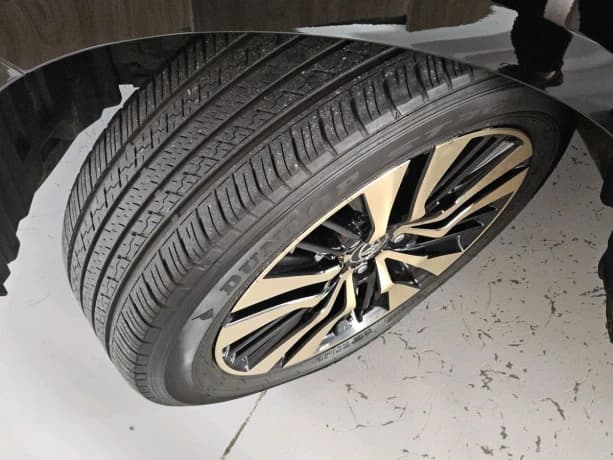 Фото 33 из 33