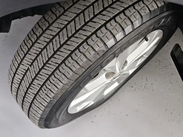 Фото 33 из 33