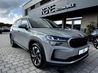 Skoda, Kodiaq, 2.0 л., АМТ, 2025 г.