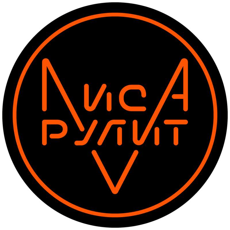 Лиса Рулит Казань